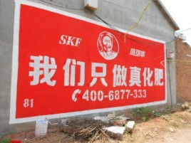 丽水刷墙广告”蕴含了时代命题