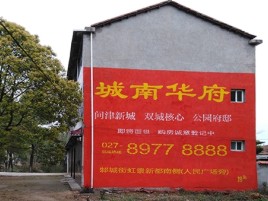 丽水百分之90的人都不了解的农村墙体广告