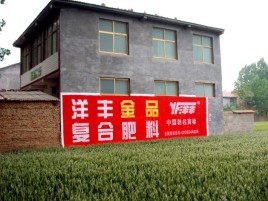 丽水如何让墙体广告展现最大化效果