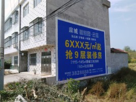 丽水墙体广告质量分析