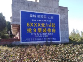 丽水品牌公司青睐的墙体广告