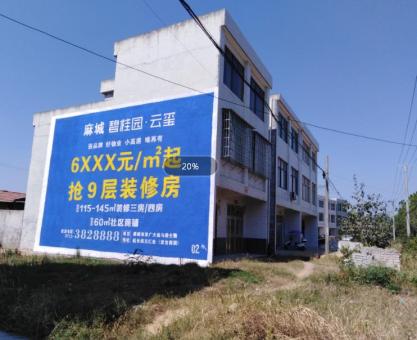 如何策划丽水墙体广告的投放？