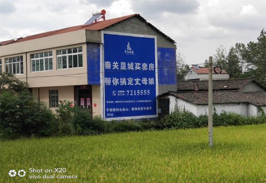 丽水决定墙体广告价格的因素有哪些?