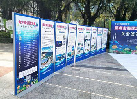 丽水KT板的种类和知识。